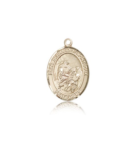 St. Bernard of Montjoux Medal, 14 Karat Gold, Medium - 14 KT Yellow Gold