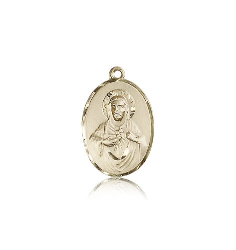 Scapular Medal, 14 Karat Gold - 14 KT Yellow Gold