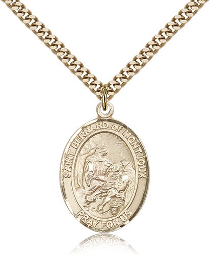 St. Bernard of Montjoux Medal, Gold Filled, Large - 24&quot; 2.4mm Gold Plated Chain + Clasp