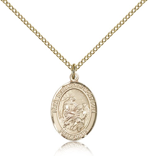 St. Bernard of Montjoux Medal, Gold Filled, Medium - Gold-tone