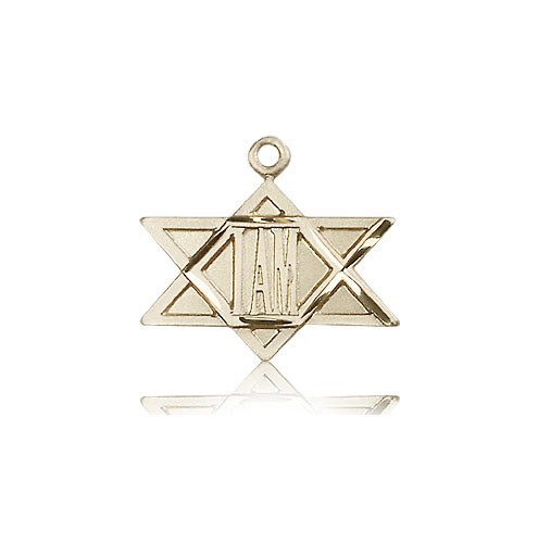 I Am Star Medal, 14 Karat Gold - 14 KT Yellow Gold