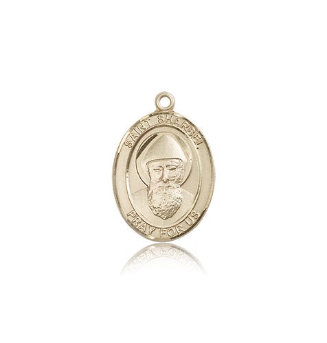 St. Sharbel Medal, 14 Karat Gold, Medium - 14 KT Yellow Gold