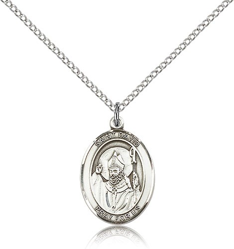 St. David of Wales Medal, Sterling Silver, Medium - 18&quot; 1.2mm Sterling Silver Chain + Clasp