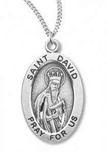 Boy's St. David Necklace Oval Sterling Silver with Chain [HMR1139]